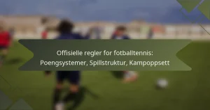 Offisielle regler for fotballtennis: Poengsystemer, Spillstruktur, Kampoppsett