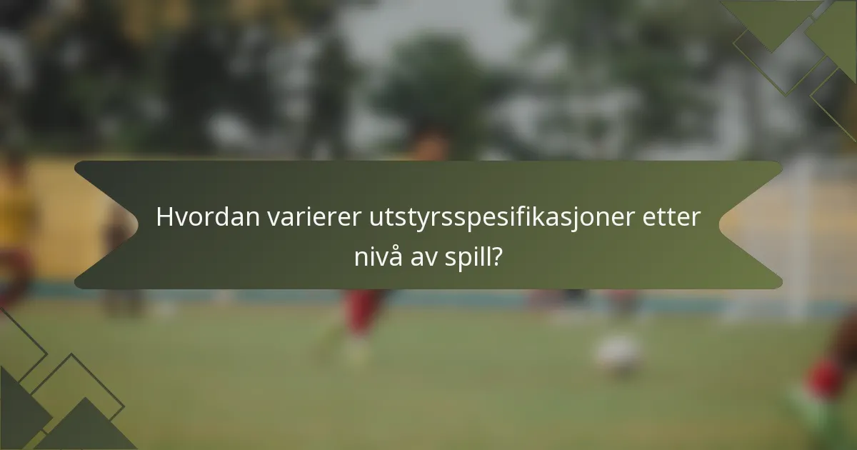 Hvordan varierer utstyrsspesifikasjoner etter nivå av spill?